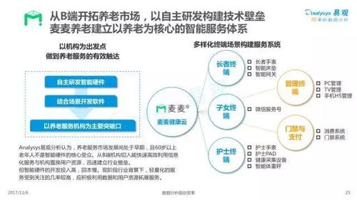 2017年中國互聯(lián)網(wǎng)居家養(yǎng)老服務(wù)專題分析 個(gè)人互聯(lián)網(wǎng)服務(wù)的新藍(lán)海